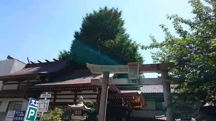 白龍神社の自然
