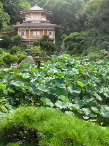 光明寺の庭園