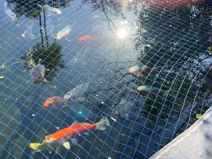 栗橋八坂神社(埼玉県)