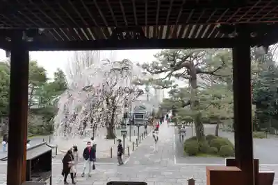 大報恩寺（千本釈迦堂）(京都府)