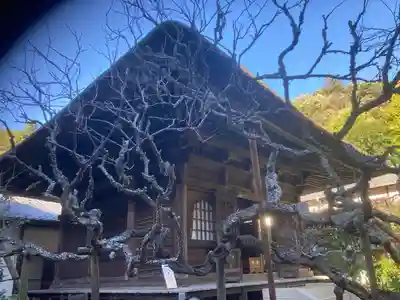 佛日庵(神奈川県)