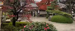 梅香寺の庭園(2022年12月07日(水) 14時19分37秒投稿)
