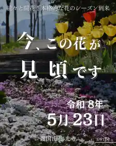 宝光寺(北海道)(2026年05月23日(土) 14時28分26秒投稿)