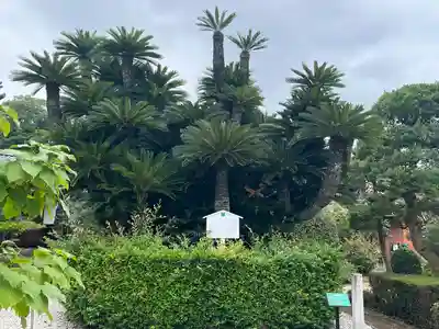 常福院(愛知県)