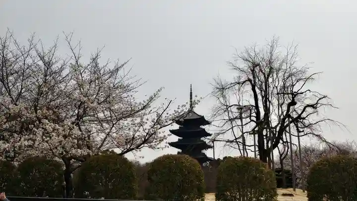 東寺(教王護国寺)(京都府)