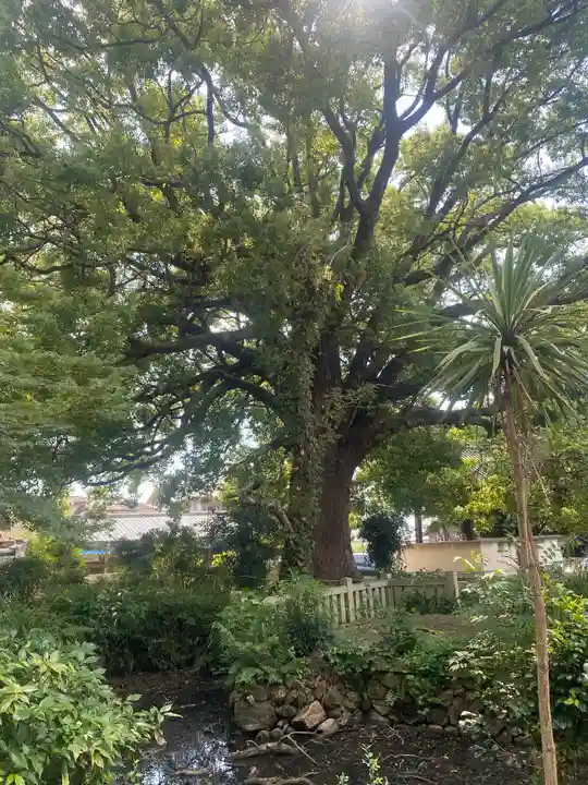 教興寺(大阪府)