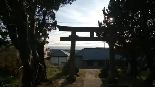 大杉神社の鳥居