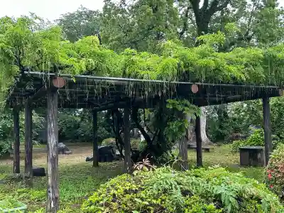 天津神社(新潟県)