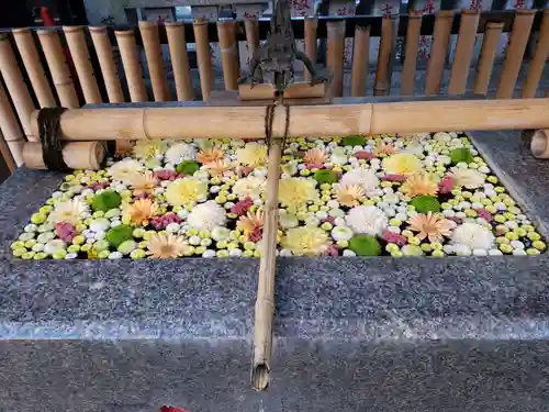 高円寺氷川神社の手水