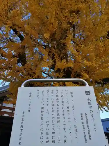 永保寺の自然