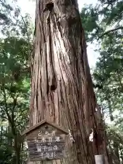 鷲子山上神社の建物その他