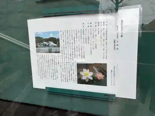 寳珠院（宝珠院）(大阪府)