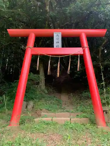 浅間神社の鳥居