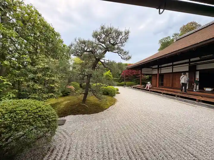 興臨院の{uncategorized: "未分類", other: "その他", undefined: "問題あり", building: "その他建物", grave: "お墓", sacred_gate: "鳥居", guardian: "狛犬", statue: "像", buddha: "仏像", history: "歴史", nature: "自然", garden: "庭園", animal: "動物", pagoda: "塔", temizu: "手水舎", mountain_gate: "山門・神門", sanctuary: "本殿・本堂", subordinate: "末社・摂社", art: "芸術", scenery: "景色", jizo: "地蔵", ema: "絵馬", goshuin: "御朱印", omikuji: "おみくじ", items: "授与品その他", amulet: "お守り", goshuincho: "御朱印帳", eats: "食事", festival: "お祭り", votive_dance: "神楽", shichigosan: "七五三参", wedding: "結婚式", experience: "体験その他", initially: "初詣", around: "周辺", anti_infection: "感染症対策"}