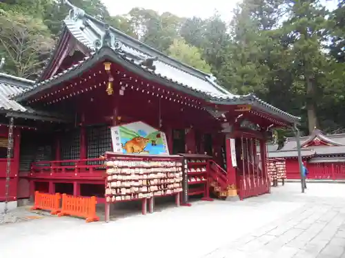 箱根神社の本殿・本堂