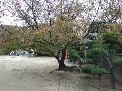 阿沼美神社(愛媛県)