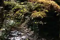 隠津島神社の周辺
