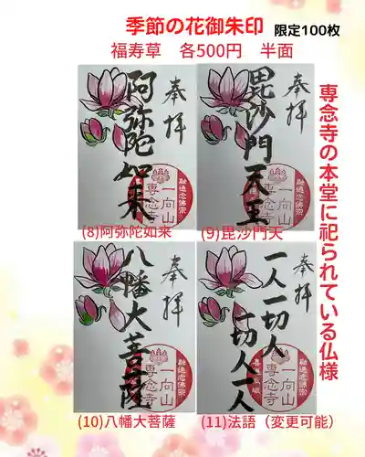 専念寺の御朱印