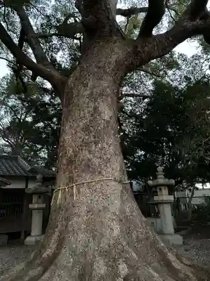 伊久比売神社(和歌山県)