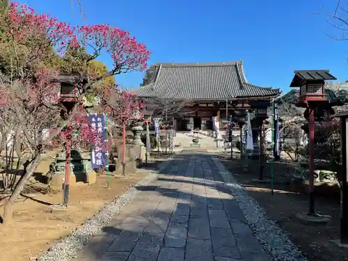 寛永寺開山堂の庭園