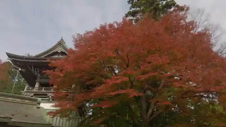 高尾山薬王院の{uncategorized: "未分類", other: "その他", undefined: "問題あり", building: "その他建物", grave: "お墓", sacred_gate: "鳥居", guardian: "狛犬", statue: "像", buddha: "仏像", history: "歴史", nature: "自然", garden: "庭園", animal: "動物", pagoda: "塔", temizu: "手水舎", mountain_gate: "山門・神門", sanctuary: "本殿・本堂", subordinate: "末社・摂社", art: "芸術", scenery: "景色", jizo: "地蔵", ema: "絵馬", goshuin: "御朱印", omikuji: "おみくじ", items: "授与品その他", amulet: "お守り", goshuincho: "御朱印帳", eats: "食事", festival: "お祭り", votive_dance: "神楽", shichigosan: "七五三参", wedding: "結婚式", experience: "体験その他", initially: "初詣", around: "周辺", anti_infection: "感染症対策"}