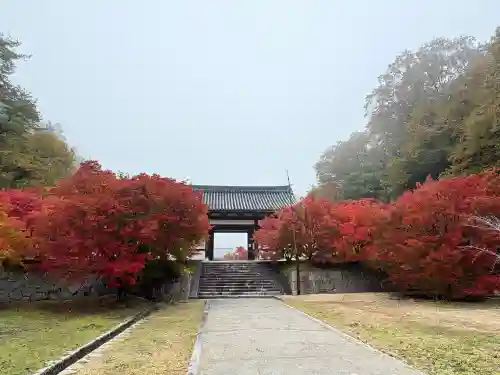 光信寺の山門・神門