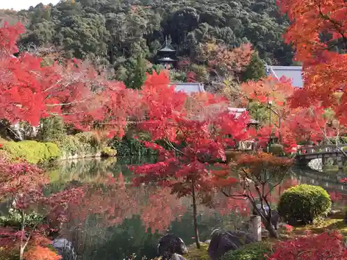 禅林寺（永観堂）の庭園