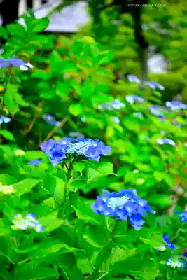 長壽寺（長寿寺）(神奈川県)