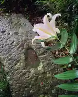 滑川神社 - 仕事と子どもの守り神の自然