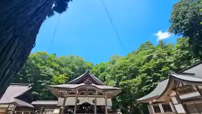 戸隠神社中社(長野県)