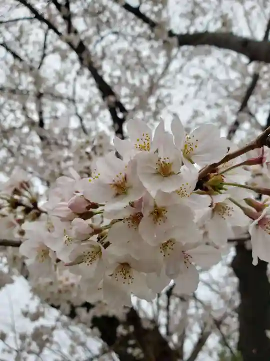 多田神社の自然