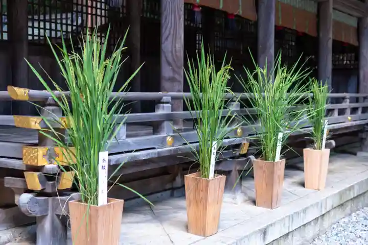 諏訪大社下社春宮(長野県)