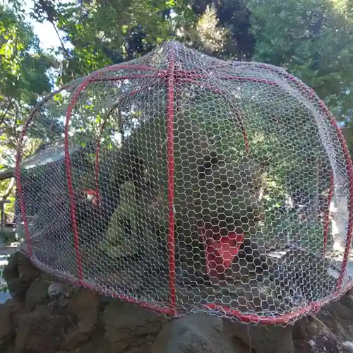 大稲荷神社の狛犬