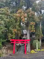 須山浅間神社(静岡県)