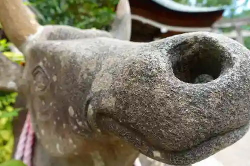 長岡天満宮の狛犬