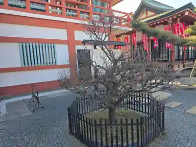 妙国寺(大阪府)