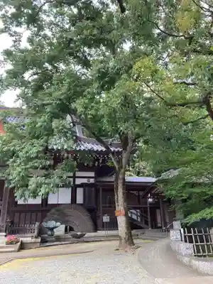 深大寺の自然