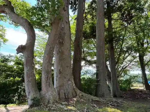 荒脛巾神社(福島県)