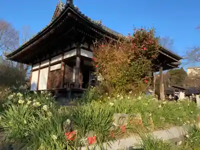 般若寺 ❁﻿コスモス寺❁のその他建物