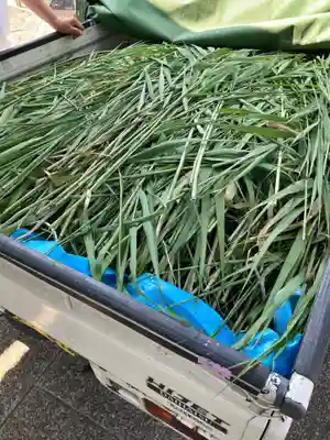 總社 和田八幡宮(福井県)