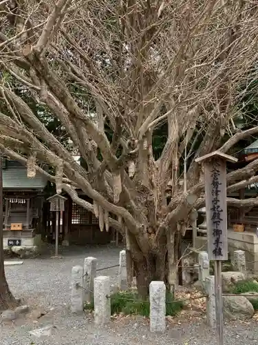 秩父神社の自然