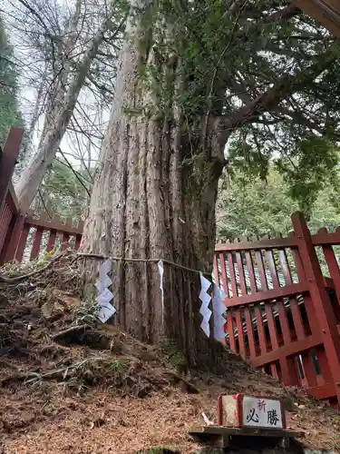 日光二荒山神社中宮祠(栃木県)