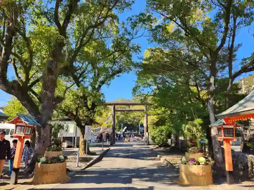 鹿児島神宮の鳥居