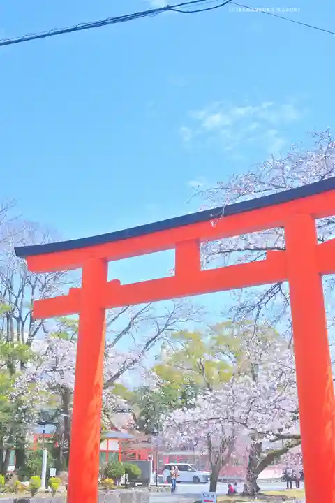 富士山本宮浅間大社(静岡県)