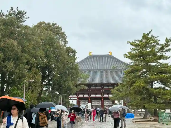 東大寺の{uncategorized: "未分類", other: "その他", undefined: "問題あり", building: "その他建物", grave: "お墓", sacred_gate: "鳥居", guardian: "狛犬", statue: "像", buddha: "仏像", history: "歴史", nature: "自然", garden: "庭園", animal: "動物", pagoda: "塔", temizu: "手水舎", mountain_gate: "山門・神門", sanctuary: "本殿・本堂", subordinate: "末社・摂社", art: "芸術", scenery: "景色", jizo: "地蔵", ema: "絵馬", goshuin: "御朱印", omikuji: "おみくじ", items: "授与品その他", amulet: "お守り", goshuincho: "御朱印帳", eats: "食事", festival: "お祭り", votive_dance: "神楽", shichigosan: "七五三参", wedding: "結婚式", experience: "体験その他", initially: "初詣", around: "周辺", anti_infection: "感染症対策"}