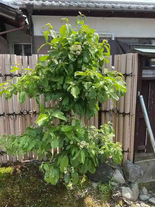 慈光院(曼陀羅寺塔頭)(愛知県)