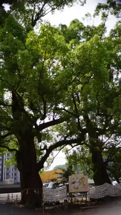 諫早神社(九州総守護 四面宮)(長崎県)
