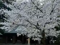 埼玉縣護國神社の{uncategorized: "未分類", other: "その他", undefined: "問題あり", building: "その他建物", grave: "お墓", sacred_gate: "鳥居", guardian: "狛犬", statue: "像", buddha: "仏像", history: "歴史", nature: "自然", garden: "庭園", animal: "動物", pagoda: "塔", temizu: "手水舎", mountain_gate: "山門・神門", sanctuary: "本殿・本堂", subordinate: "末社・摂社", art: "芸術", scenery: "景色", jizo: "地蔵", ema: "絵馬", goshuin: "御朱印", omikuji: "おみくじ", items: "授与品その他", amulet: "お守り", goshuincho: "御朱印帳", eats: "食事", festival: "お祭り", votive_dance: "神楽", shichigosan: "七五三参", wedding: "結婚式", experience: "体験その他", initially: "初詣", around: "周辺", anti_infection: "感染症対策"}
