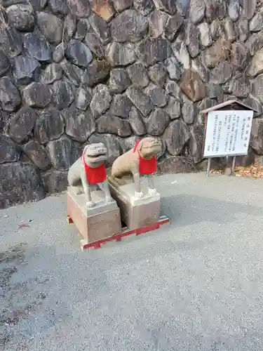 長谷寺(白岩観音)の狛犬