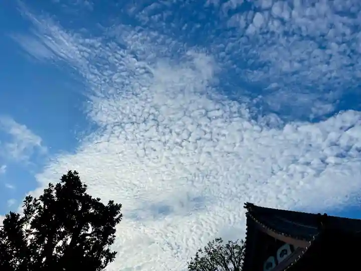 圓能寺(東京都)
